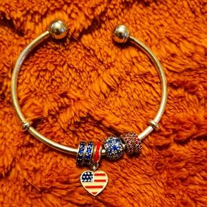 Pandora bangles bracelet